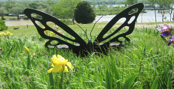 Screenshot 2024-11-06 at 11.30.59 AM